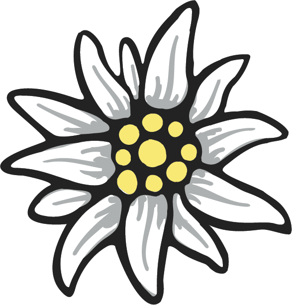 Icon einer Edelweiß-Blüte