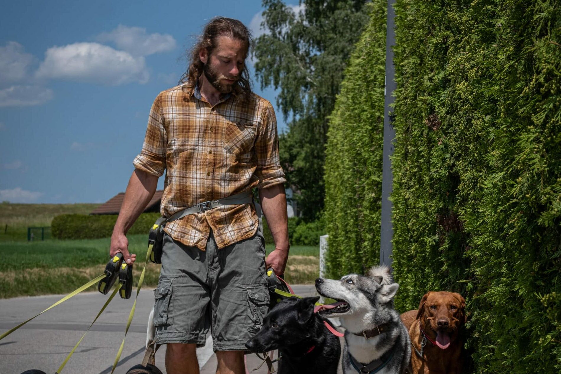 Simon geht mit den Pensionshunden auf einem Feldweg spazieren