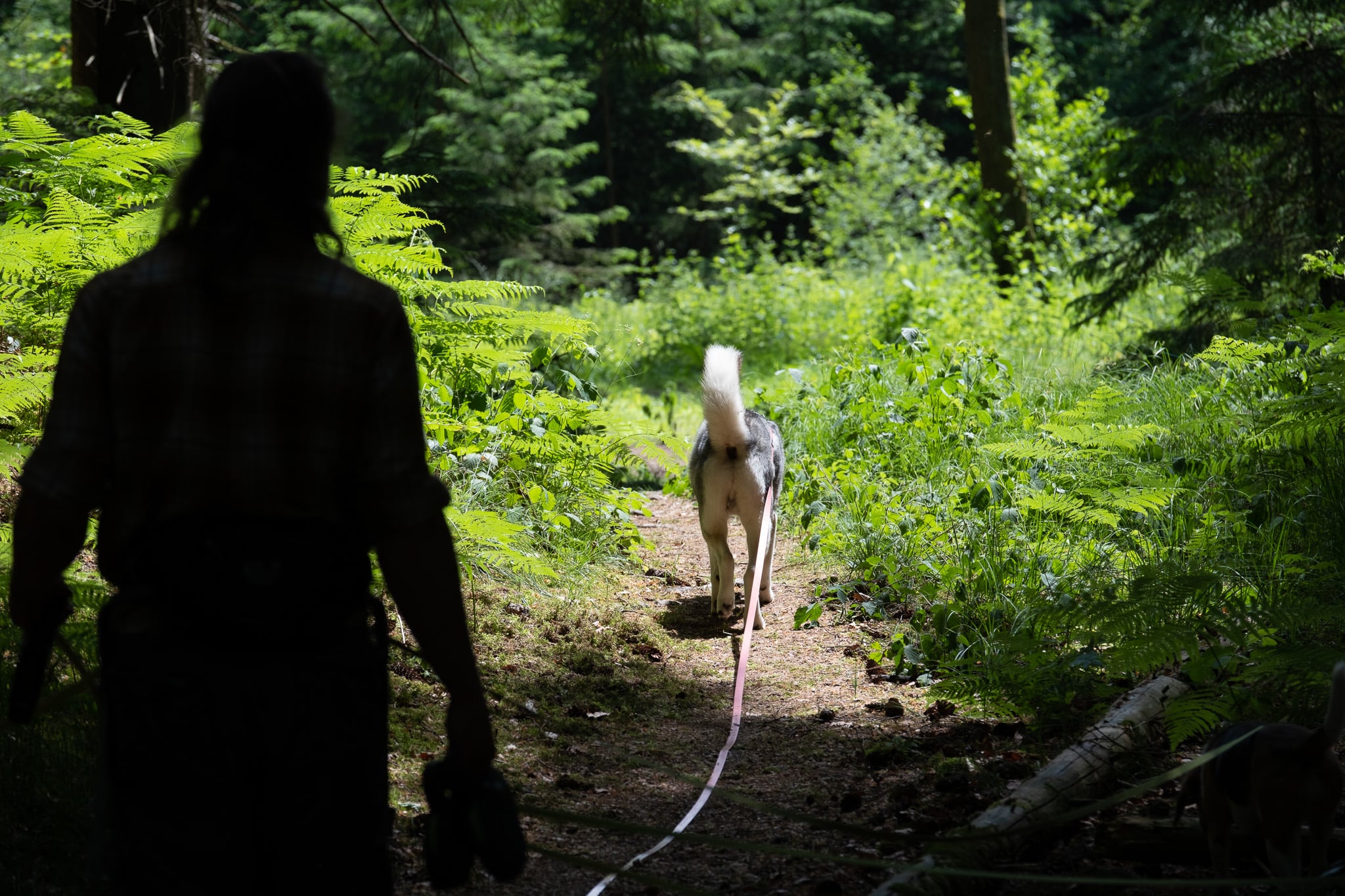 Simon läuft mit seinem Hund an der Schleppleine durch den Wald