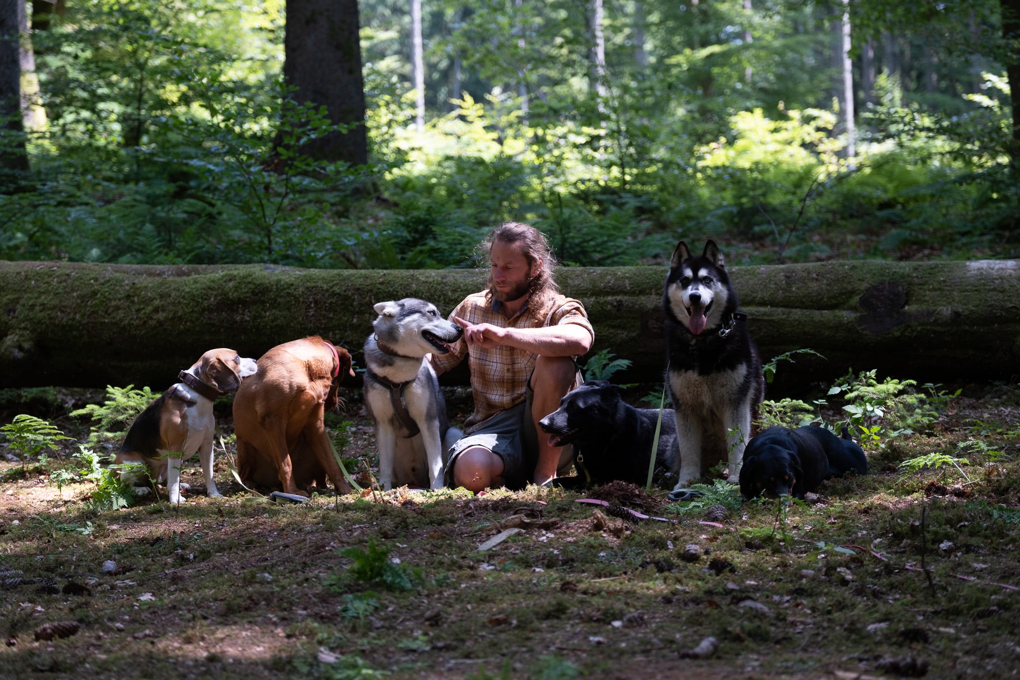 Simon sitzt mit mehreren Hunden im Wald und trainiert